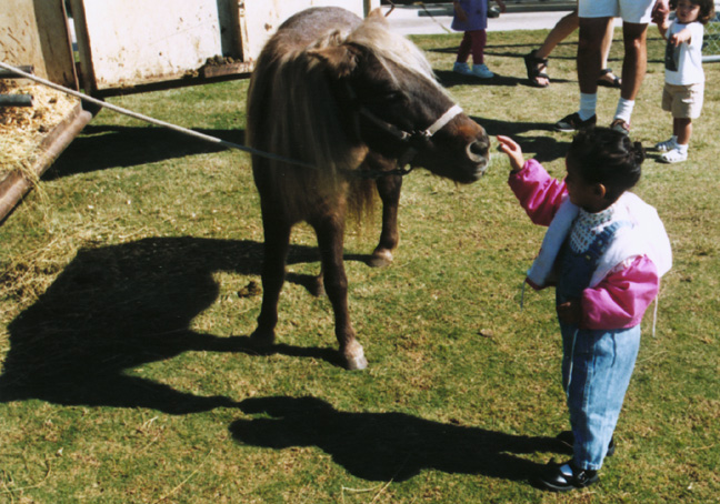 The pony sniffs Mari!