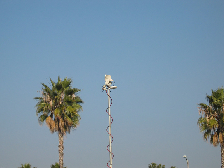 Mari photographs a news dish!