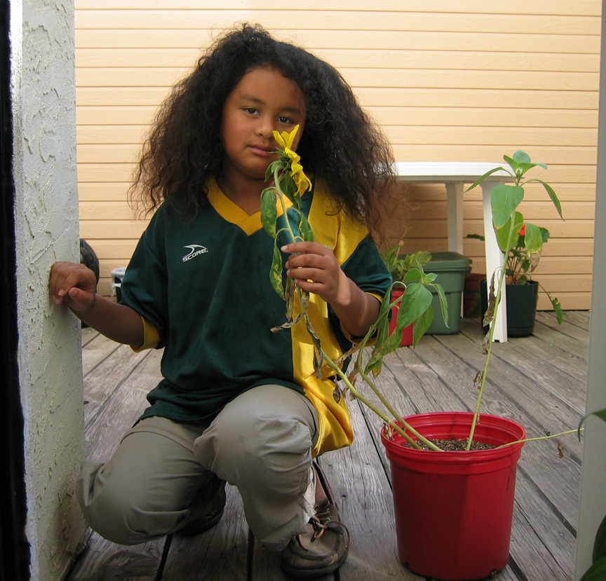 Mari grows a sunflower!