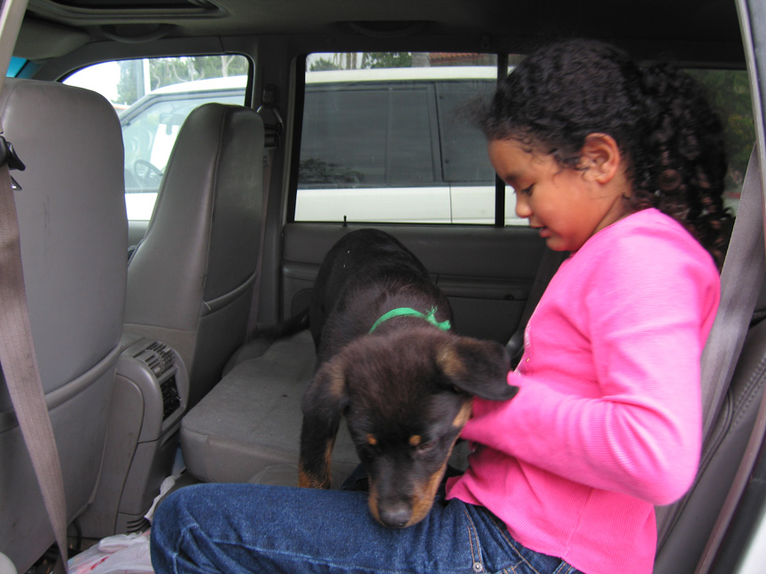 Mari and Kreiger play in the suv!