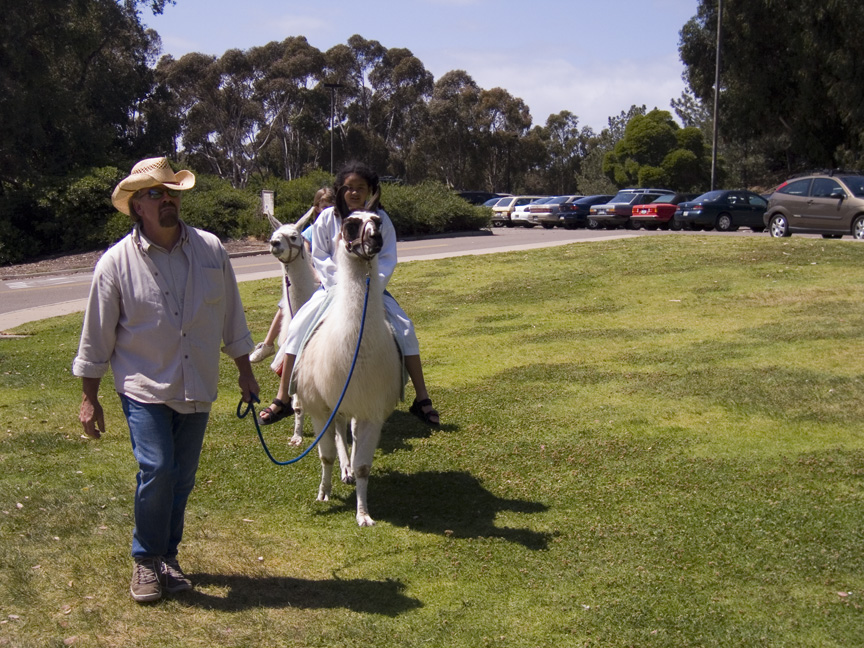 Mari goes for a llama ride!