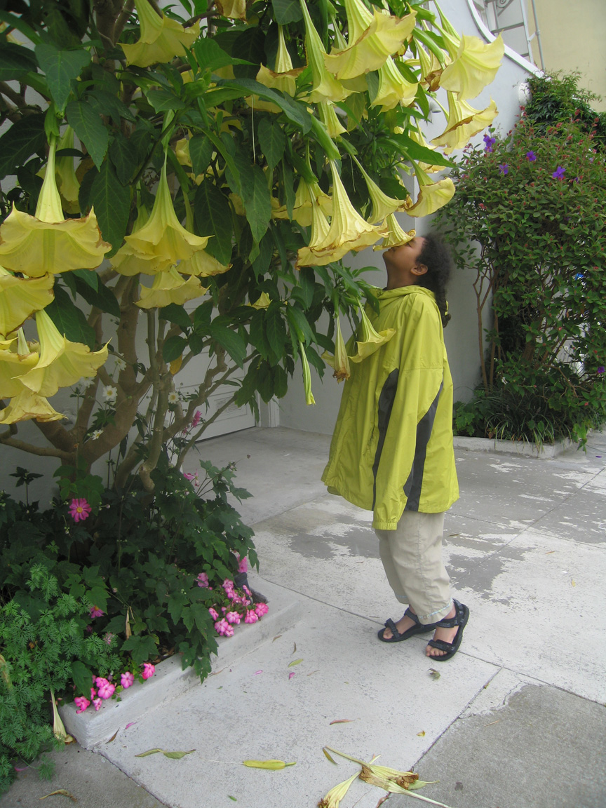 Mari finds some lovely flowers near the Exploratorium!