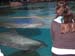 seaworld_25