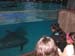 seaworld_27